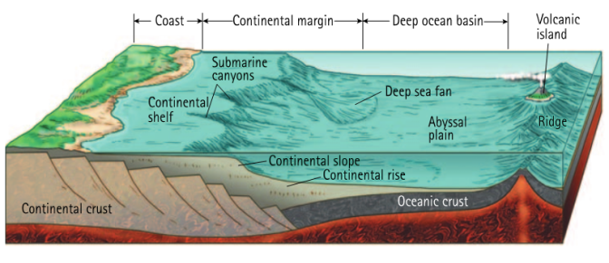 Simple schematic of major ocean environments from the shallow, near shore, continental shelf to the deep abyssal plain.