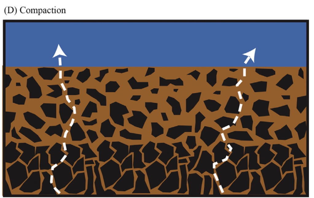 Image showing the upper sediment column with individual grains more spread out near the sediment water interface at the top and more tightly packed together deeper down.